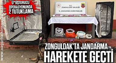 Zonguldak’ta Jandarma Harekete Geçti: Uyuşturucu Operasyonunda 2 Tutuklama