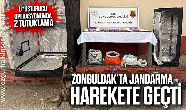 Zonguldak’ta Jandarma Harekete Geçti: Uyuşturucu Operasyonunda 2 Tutuklama