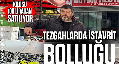 Zonguldak'ta tezgahlarda istavrit bolluğu