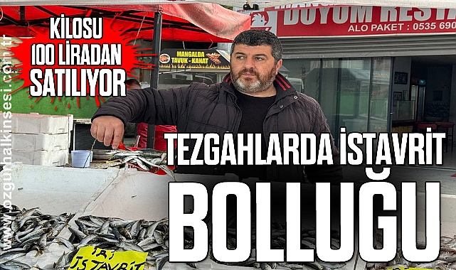 Zonguldak'ta tezgahlarda istavrit bolluğu