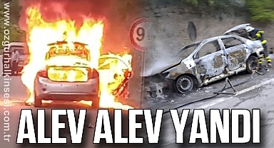Alev Alev Yandı