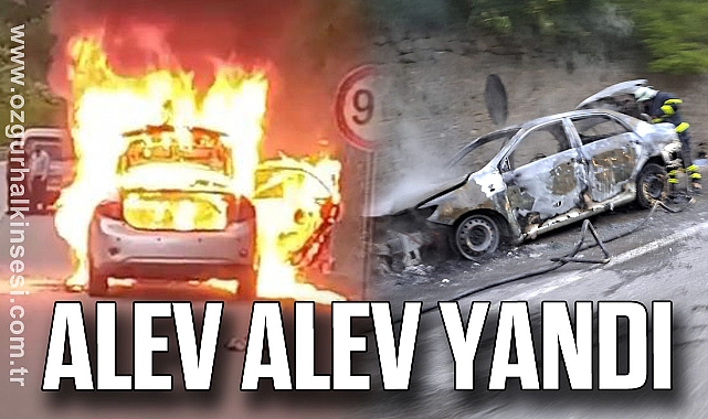 Alev Alev Yandı