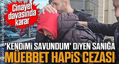 Cinayet davasında karar: 'Kendimi savundum' diyen sanığa müebbet hapis cezası