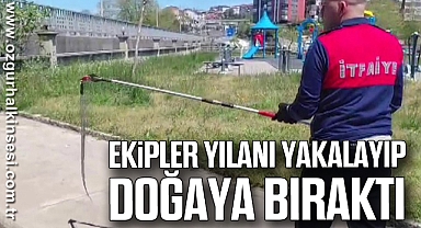 Ekipler yılanı yakalayıp doğaya bıraktı