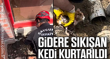 GİDERE SIKIŞAN KEDİ KURTARILDI