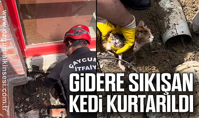 GİDERE SIKIŞAN KEDİ KURTARILDI