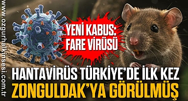 HANTAVİRÜS TÜRKİYE’DE İLK KEZ ZONGULDAK’YA GÖRÜLMÜŞ 