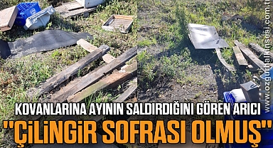 Kovanlarına ayının saldırdığını gören arıcı, 