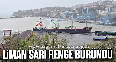 Liman çamur nedeniyle sarı renge büründü