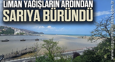 Liman yağışların ardından sarıya büründü
