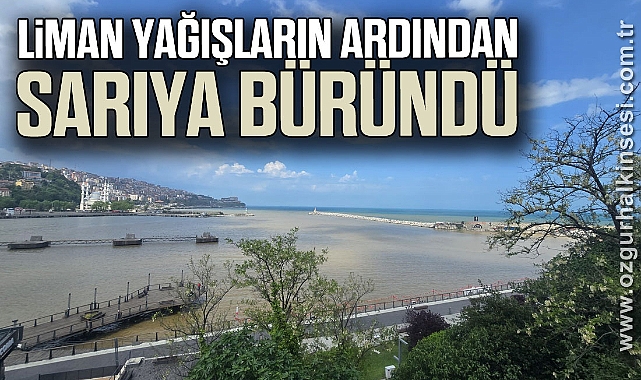 Liman yağışların ardından sarıya büründü