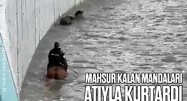 Mahsur kalan mandaları atıyla kurtardı
