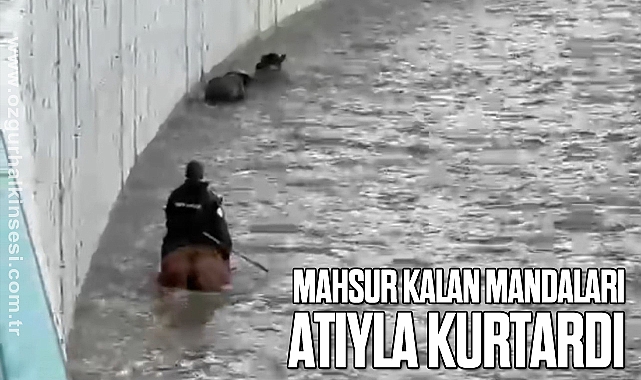 Mahsur kalan mandaları atıyla kurtardı