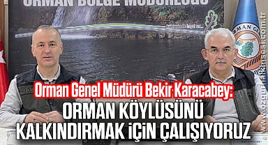 “ORMAN KÖYLÜSÜNÜ KALKINDIRMAK İÇİN ÇALIŞIYORUZ”