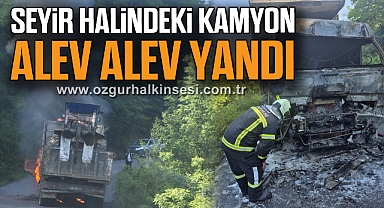 Seyir halindeki kamyon alev alev yandı