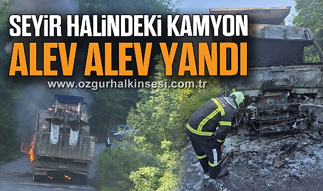 Seyir halindeki kamyon alev alev yandı