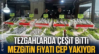 Tezgahlarda çeşit bitti mezgit fiyatı 500 liraya çıktı