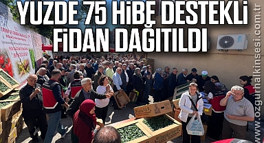  Yüzde 75 hibe destekli fidan dağıtıldı