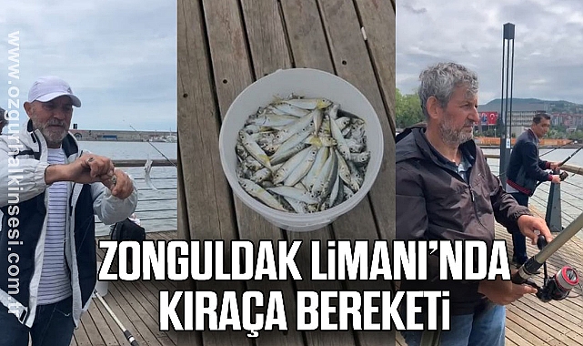 ZONGULDAK LİMANI'NDA KIRAÇA BEREKETİ