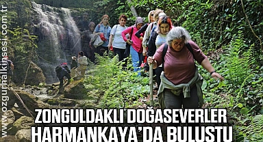 Zonguldaklı Doğaseverler Harmankaya’da Buluştu