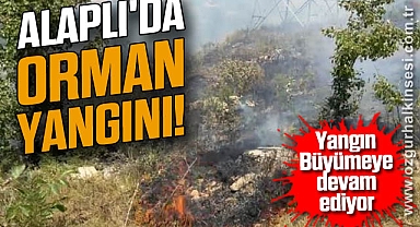 ALAPLI'DA ORMAN YANGINI!