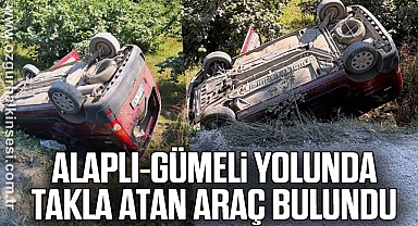 Alaplı-Gümeli Yolunda Takla Atan Araç Bulundu