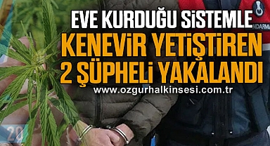 Eve Kurduğu Sistemle Kenevir Yetiştiren 2 Şüpheli Yakalandı