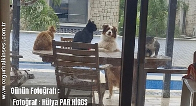GÜNÜN FOTOĞRAFI