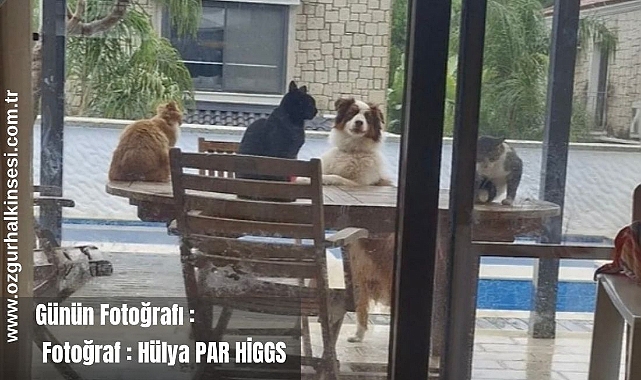 GÜNÜN FOTOĞRAFI