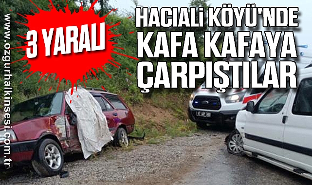 HACIALİ KÖYÜ'NDE KAFA KAFAYA ÇARPIŞTILAR