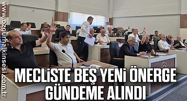 İl Genel Meclisi'nde Elektrik Şirketine 49 Yıllık Kiralama Onayı