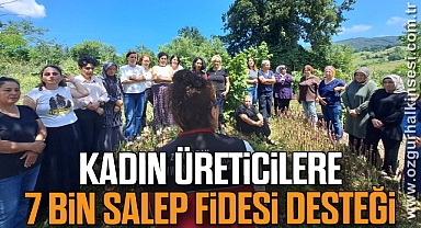 Kadın üreticilere 7 bin salep fidesi desteği