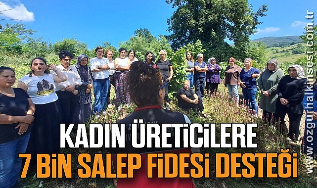 Kadın üreticilere 7 bin salep fidesi desteği