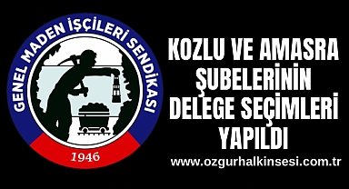 KOZLU VE AMASRA ŞUBELERİNİN DELEGE SEÇİMLERİ YAPILDI 