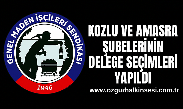 KOZLU VE AMASRA ŞUBELERİNİN DELEGE SEÇİMLERİ YAPILDI 