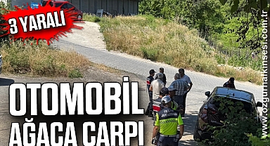 Otomobil ağaca çarpı