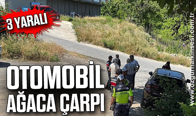 Otomobil ağaca çarpı