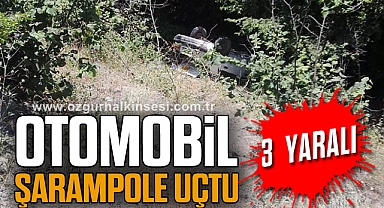 Otomobil Şarampole Uçtu: 3 Yaralı
