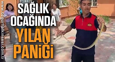Sağlık ocağında yılan paniği