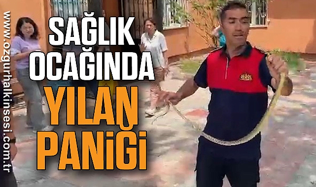 Sağlık ocağında yılan paniği
