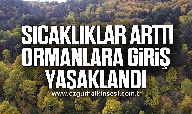 Sıcaklıklar arttı, ormanlara giriş yasaklandı