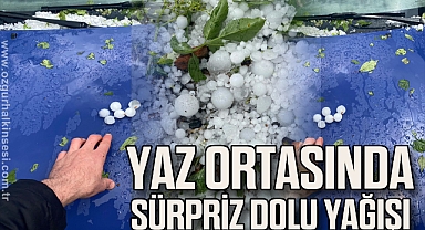 Yaz Ortasında Sürpriz Dolu Yağışı