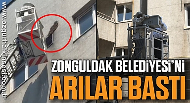ZONGULDAK BELEDİYESİ'Nİ ARILAR BASTI