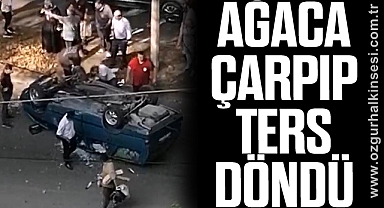 AĞACA ÇARPIP TERS DÖNDÜ