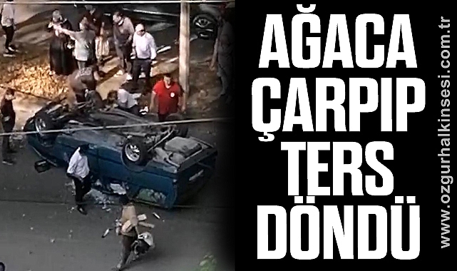 AĞACA ÇARPIP TERS DÖNDÜ