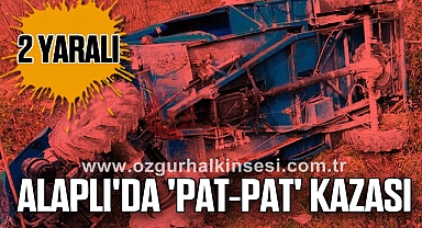 Alaplı'da 'pat-pat' kazası: 2 yaralı