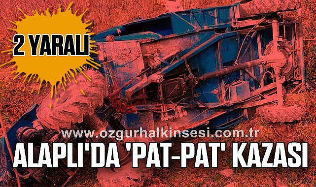 Alaplı'da 'pat-pat' kazası: 2 yaralı