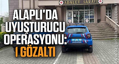 Alaplı'da Uyuşturucu Operasyonu: 1 Gözaltı