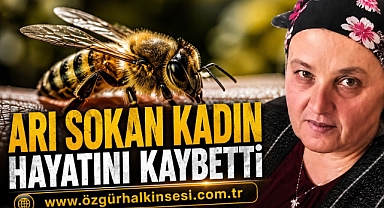ARI SOKAN KADIN HAYATINI KAYBETTİ