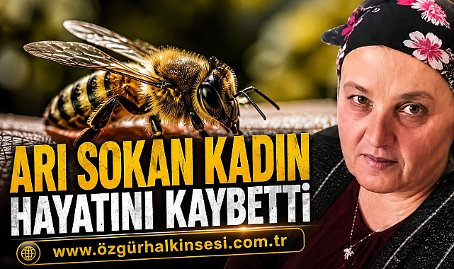ARI SOKAN KADIN HAYATINI KAYBETTİ